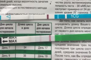 Половой акт на 11 день цикла. Возможна ли беременность?