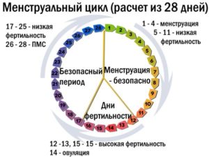 Менструальный цикл 40 дней