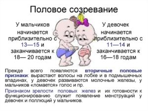 Половое созревание в 12 лет