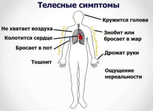 Всд или паническая атака