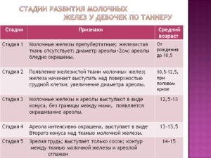 Рост молочных желез