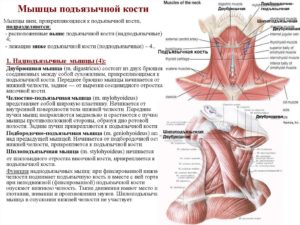 Напряжение в подъязычной мышце