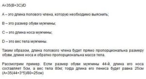 Длина члена