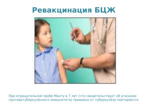 Ревакцинация бцж в 6 лет