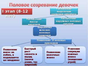 Половое созревание в 12 лет