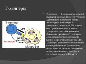 Снижение Т-хелперов