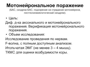 Подозрение на бас