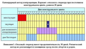 Менструальный цикл 40 дней