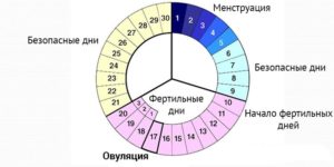 Во сколько лет женщина уже точно не может забеременеть