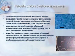 Клебсиелла пневмонии в кале у ребенка