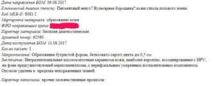 Гистология после удаления невуса