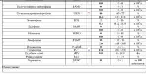 Палочкоядерные 0 у ребенка в общем анализе крови,.,