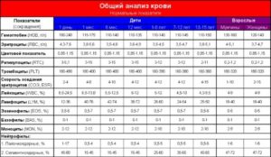 Палочкоядерные 0 у ребенка в общем анализе крови,.,