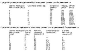 Маленький размер плодного яйца в 7 недель при наличии сердцебиения