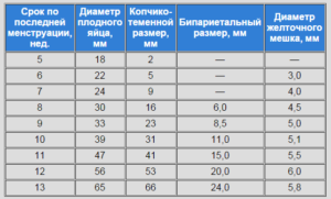 Маленький размер плодного яйца в 7 недель при наличии сердцебиения