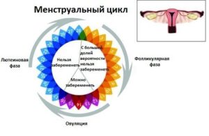 Каковы причины сбоя цикла от 50 до 60 дней?