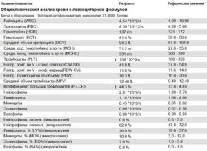Повышены эозинофилы и базофилы