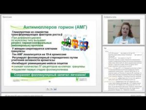 Эко и АМГ возьмут ли с низким АМГ на ЭКО