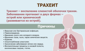 Заразен ли кашель для малыша
