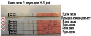 Поздняя овуляция при цикле 28-29
