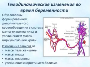 Венозный поток во время беременности
