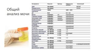 После лечения холецистита лейкоциты в моче 500