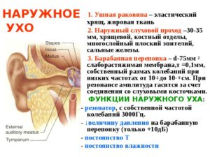 Болит хрящ уха