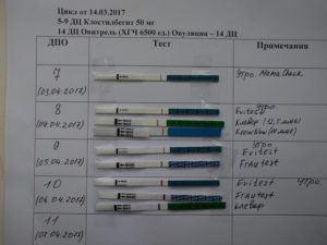 Отсутствие овуляции после овитреля