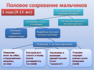 Половое созревание в 12 лет